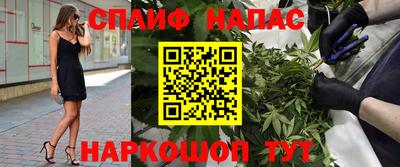 гидропоника Гусиноозёрск